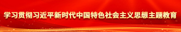 男女抠逼的软件学习贯彻习近平新时代中国特色社会主义思想主题教育